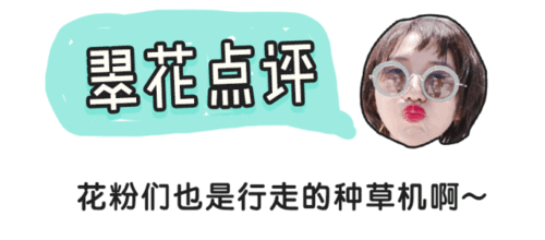 讀者曬貨 2018年:這些東西買(mǎi)得最滿(mǎn)意閱讀臺(tái)燈